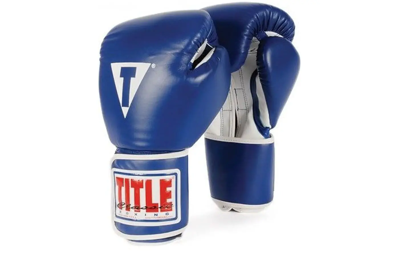 Title Boxing Pro Style Gloves