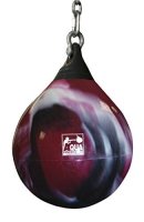 Aqua Punching Bag