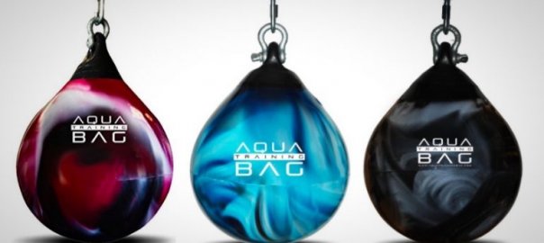 everlast water punching bag