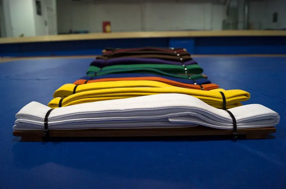 Download Best Judo Belts Reviewed and Compared in 2021 | FightingReport