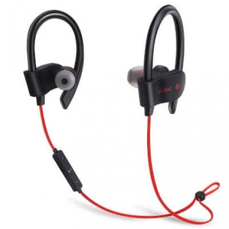1. Safari Gardens Bluetooth