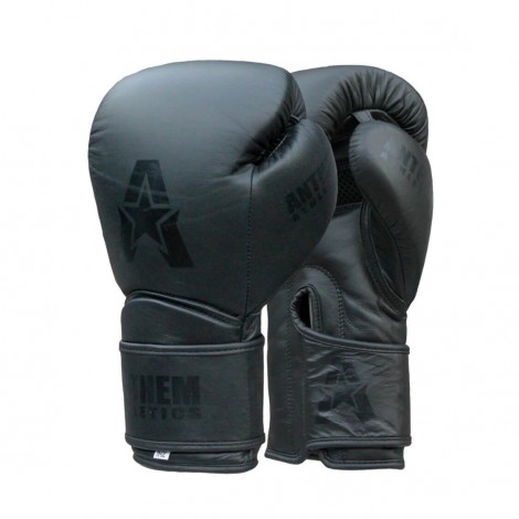 image of Anthem Athletics Stormbringer muay thai gloves