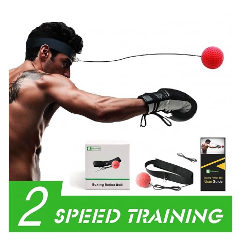 2. Gdaytao Boxing Reflex