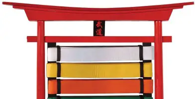 An In Depth Review of the Best Karate Belt Displays of 2018