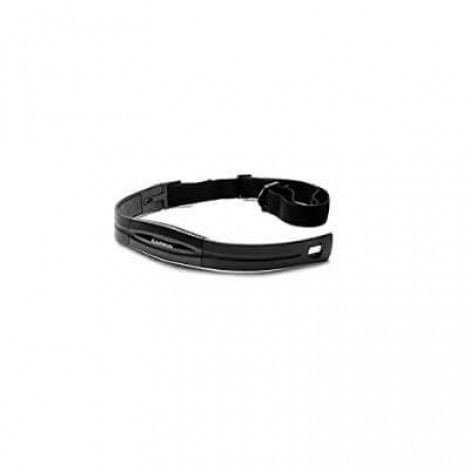 4. Garmin Standard