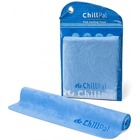 2. Chill Pal
