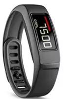 Garmin VivoFit 2