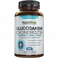 Glucosamine Chondroitin