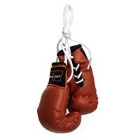 Pro Impact Mini Boxing Gloves