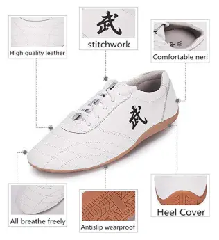 SNLMY Kung Fu Shoes