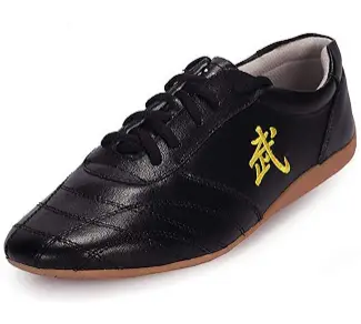 SNLMY Kung Fu Shoes