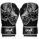 Hawk Sports Boxing