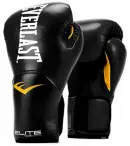Elite Training Everlast Gloves