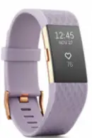 FitBit Charge 2 Fighting Report