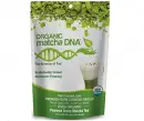 Matcha DNA Fighting Report