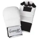 Pro-Force-Gladiator-best-karate-mitts-reviewed