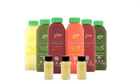 5. Raw Fountain Juice