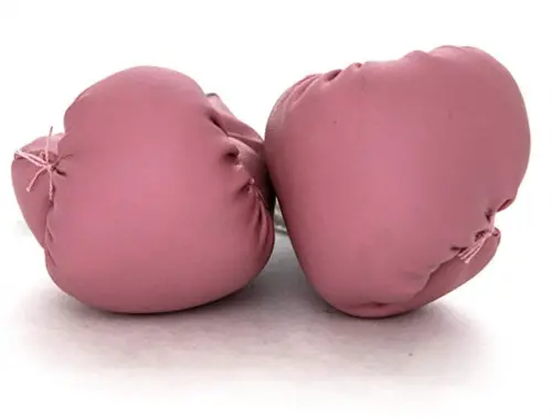 Pro Impact Mini Boxing Gloves Fighting report