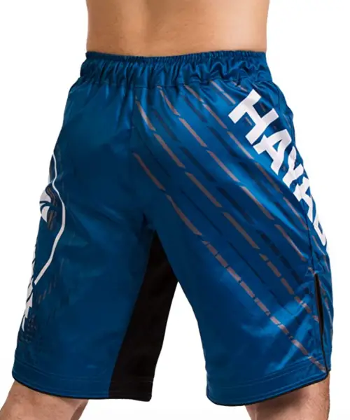 Hayabusa Chikara 4 MMA Fight Short Back