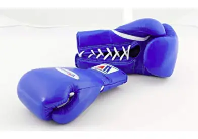Winning Training Boxing Gloves Review